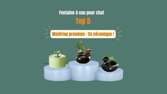 Meilleures fontaines à eau en céramique pour chat