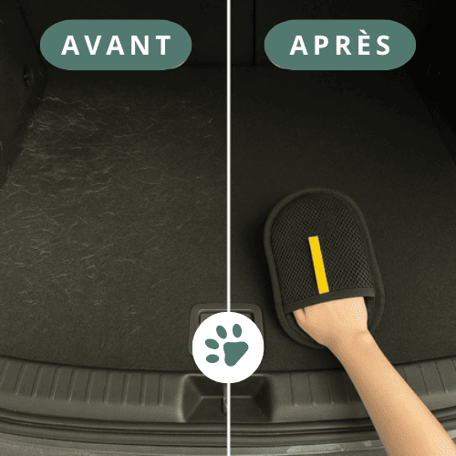 Gant magique anti-poil EasyGroom