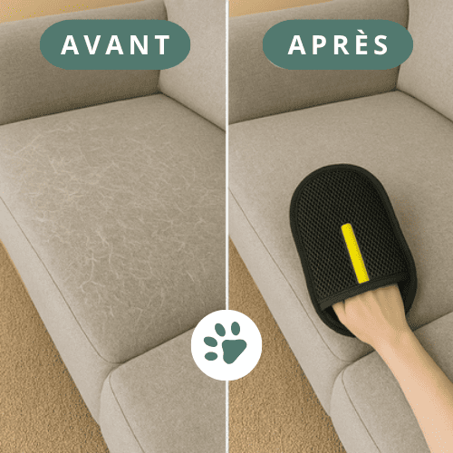 Gant magique anti-poil EasyGroom