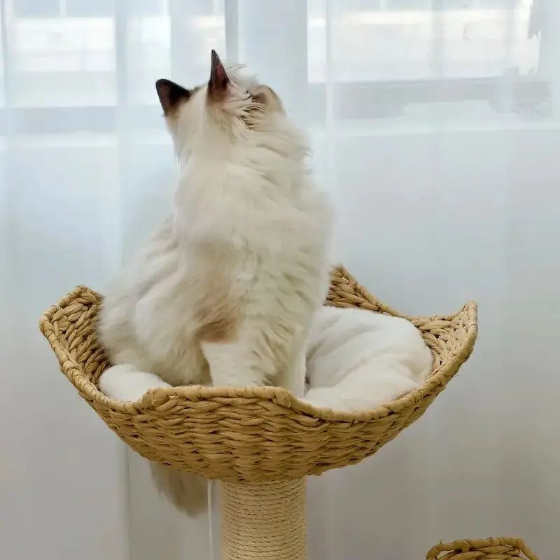 Arbre à chat design luxe - Élégance & confort | Treeluxy