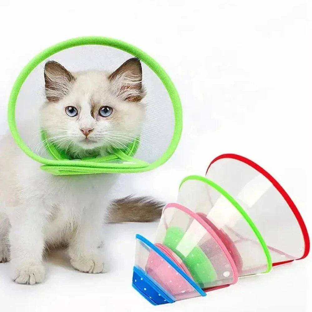 Collerette chat anti-grattage
