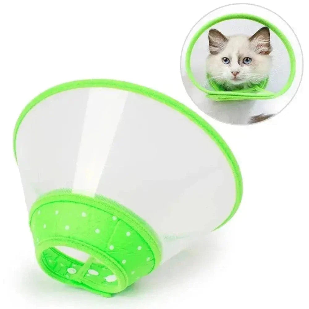 Collerette chat anti-grattage