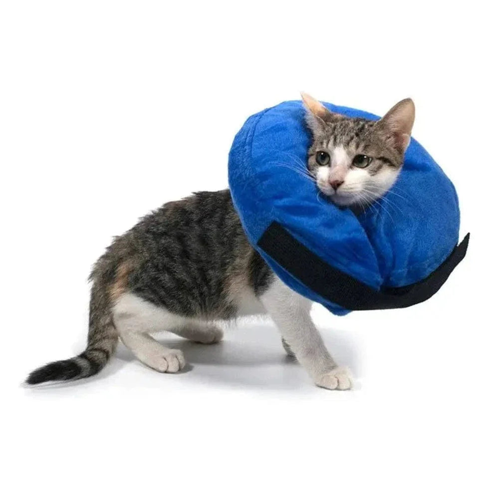 Collerette gonflable pour chat - Griffe d'Amour