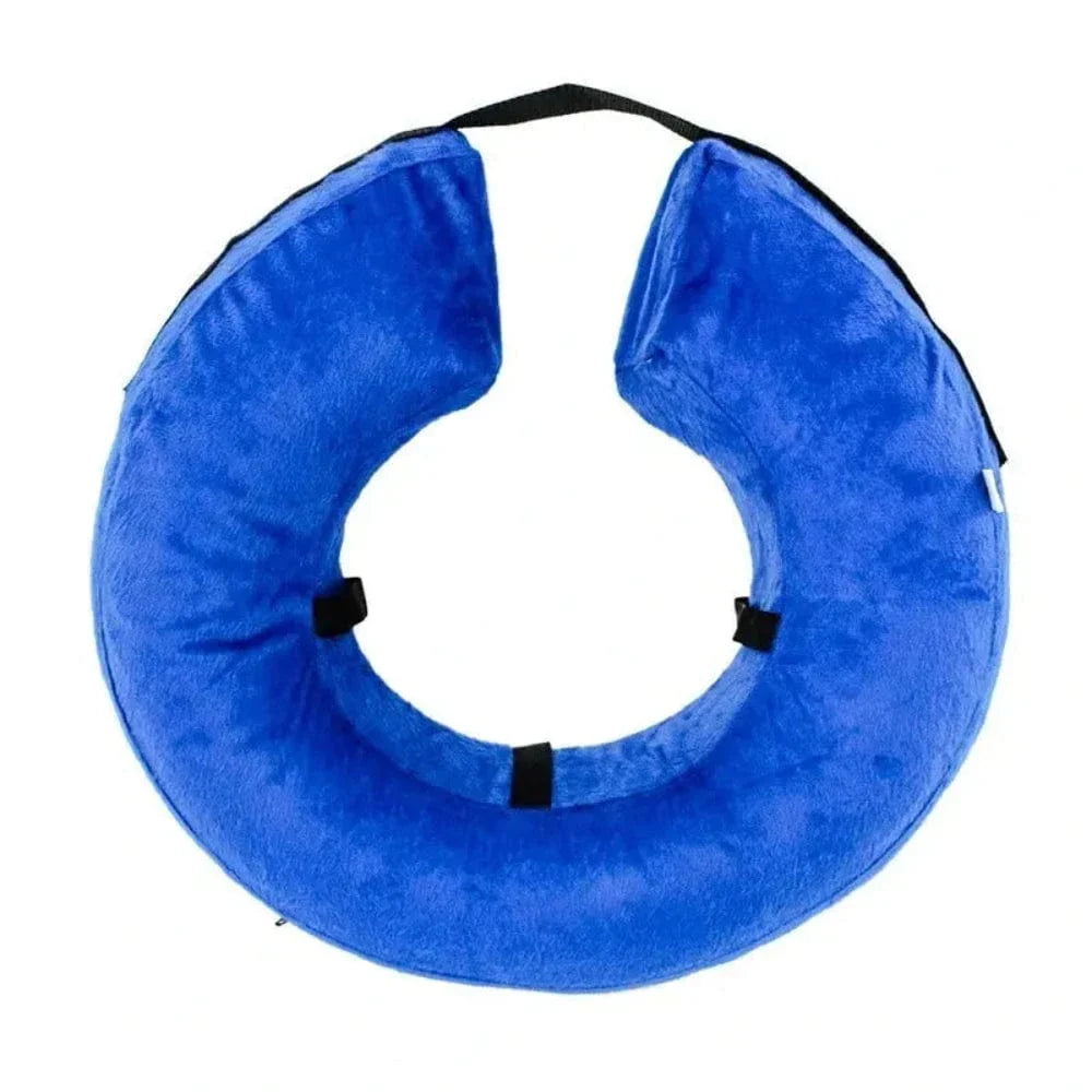 Collerette gonflable pour chat