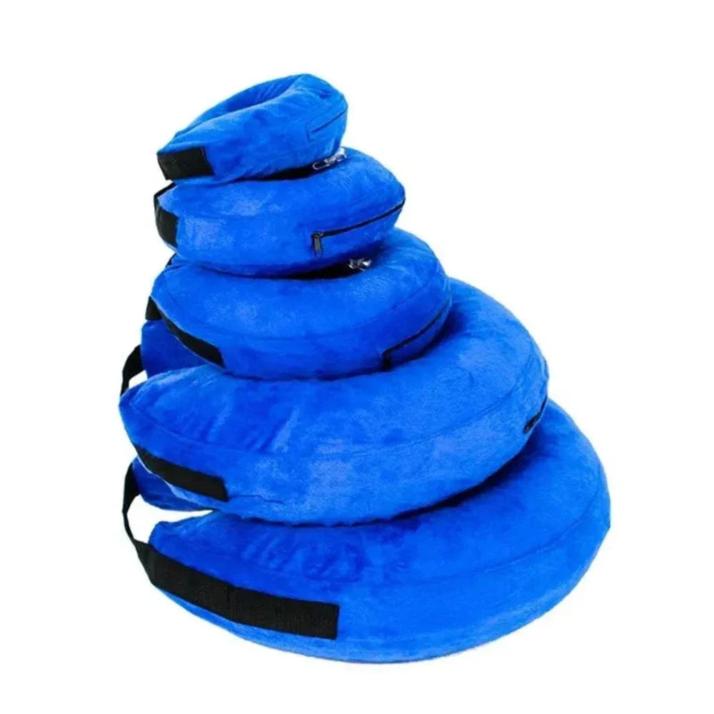 Collerette gonflable pour chat