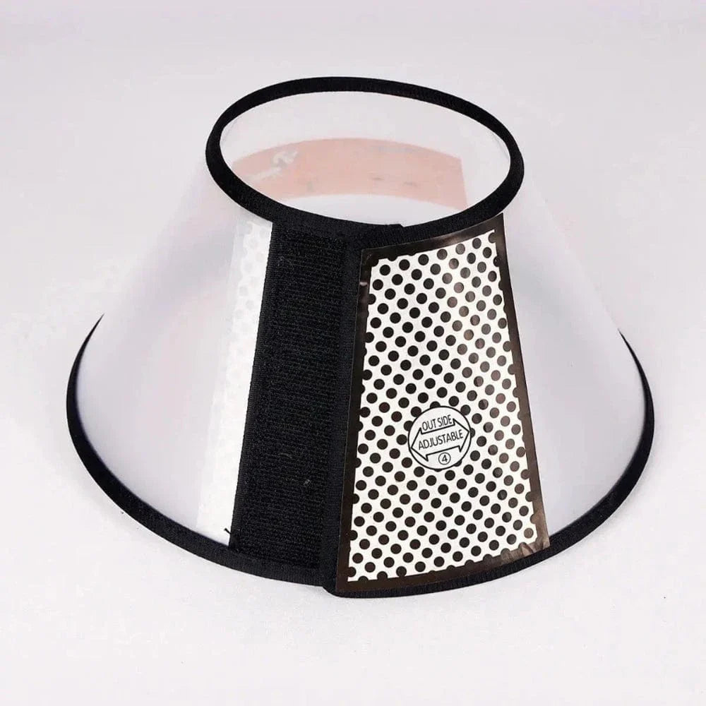 Collerette souple pour chat