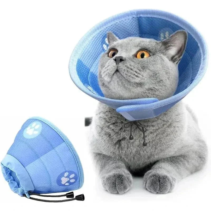 Collier anti-léchage pour chat