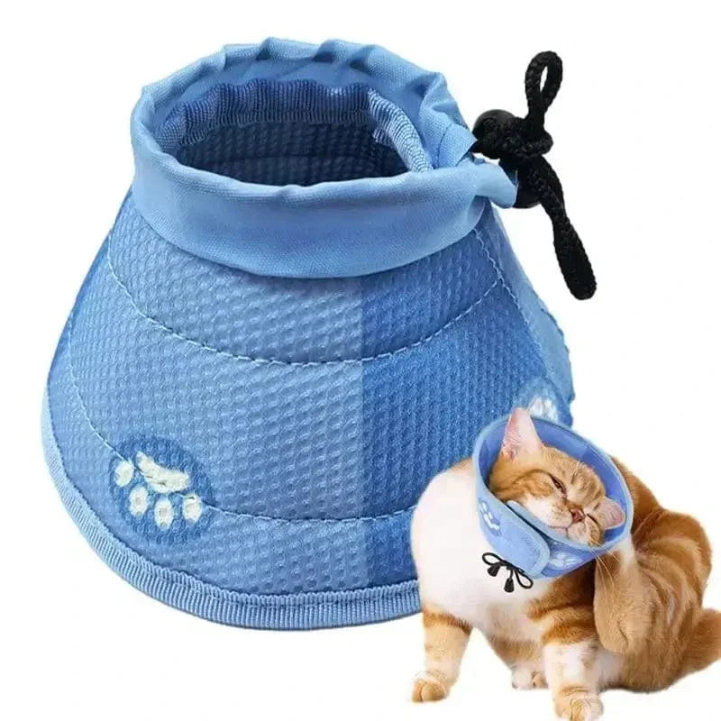 Collier anti-léchage pour chat
