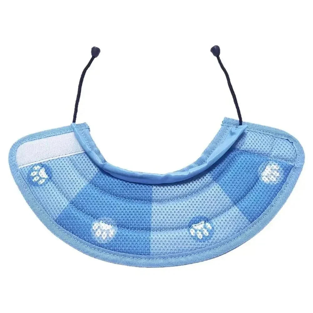 Collier anti-léchage pour chat