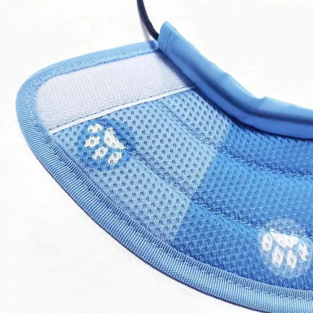 Collier anti-léchage pour chat