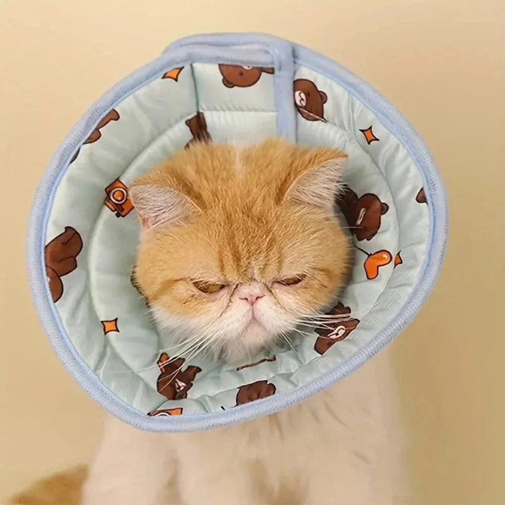 Collier de récupération chat