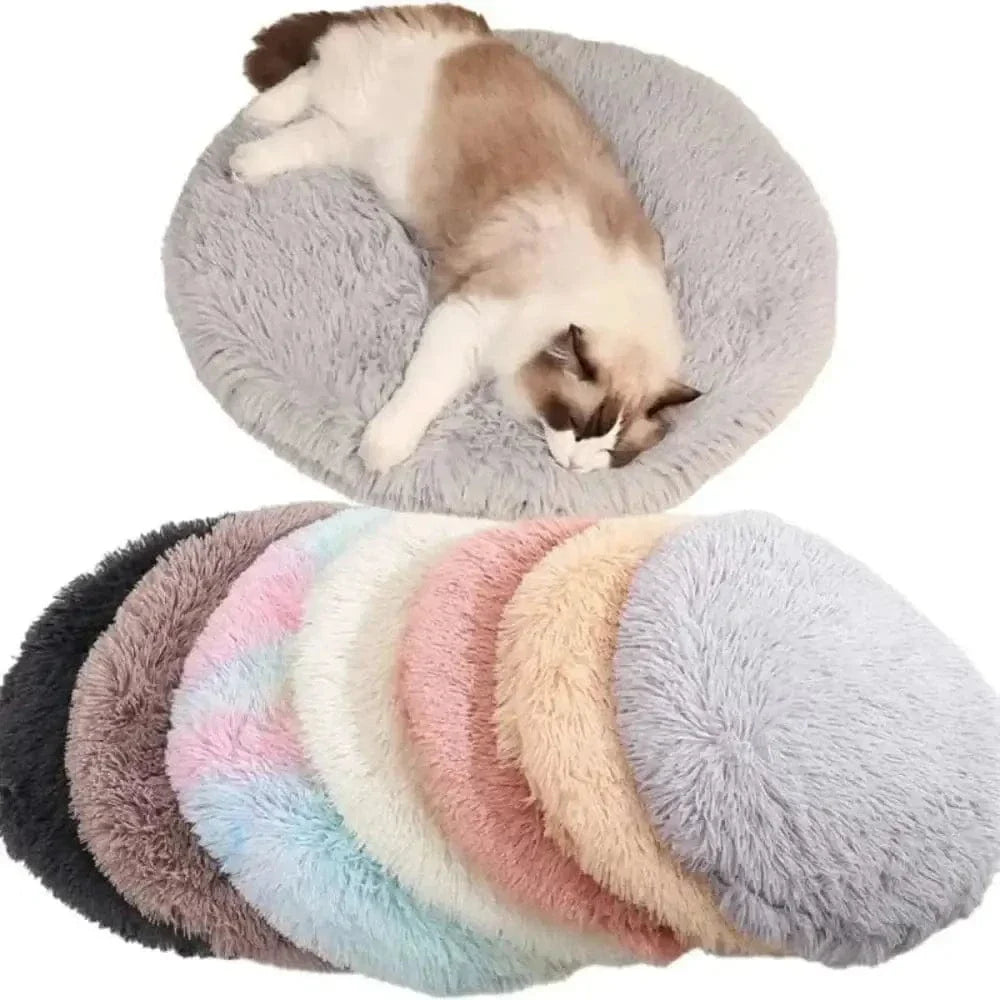 Kekeso Peluche Chat Long - Coussin Doudou Chat Ultra Doux pour Enfants & Adultes, Oreiller Corporel Kawaii, Cadeau Mignon pour Amoureux des Chats (Crème, Yeux Ronds, 60cm/23.62inch Kekeso Peluche Chat Long - Coussin Doudou Chat Ultra Doux pour Enfants & Adultes, Oreiller Corporel Kawaii, Cadeau Mignon pour Amoureux des Chats (Crème, Yeux Ronds, 60cm/23.62inch