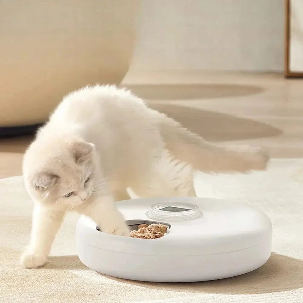 Distributeur automatique de croquettes - 6 repas pour votre chat