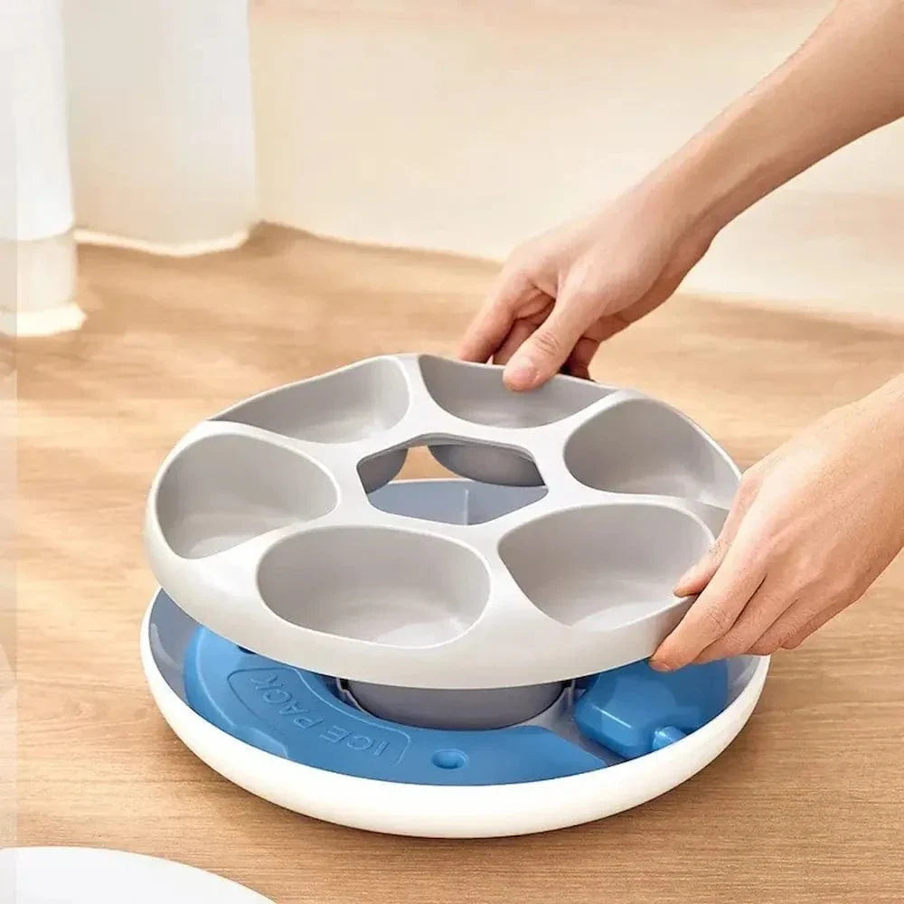 Distributeur automatique de croquettes - 6 repas pour votre chat