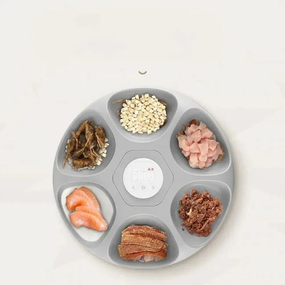 Distributeur automatique de croquettes - 6 repas pour votre chat