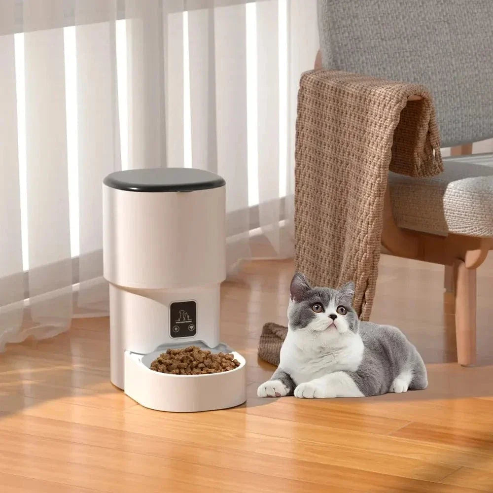 Distributeur de croquettes intelligent pour chat