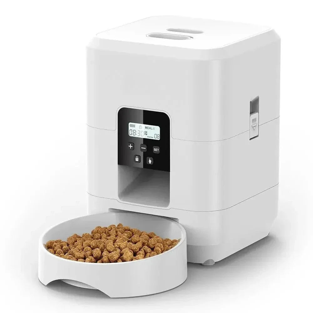 Distributeur programmable de croquettes pour chat