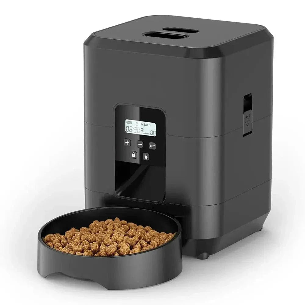 Distributeur programmable de croquettes pour chat