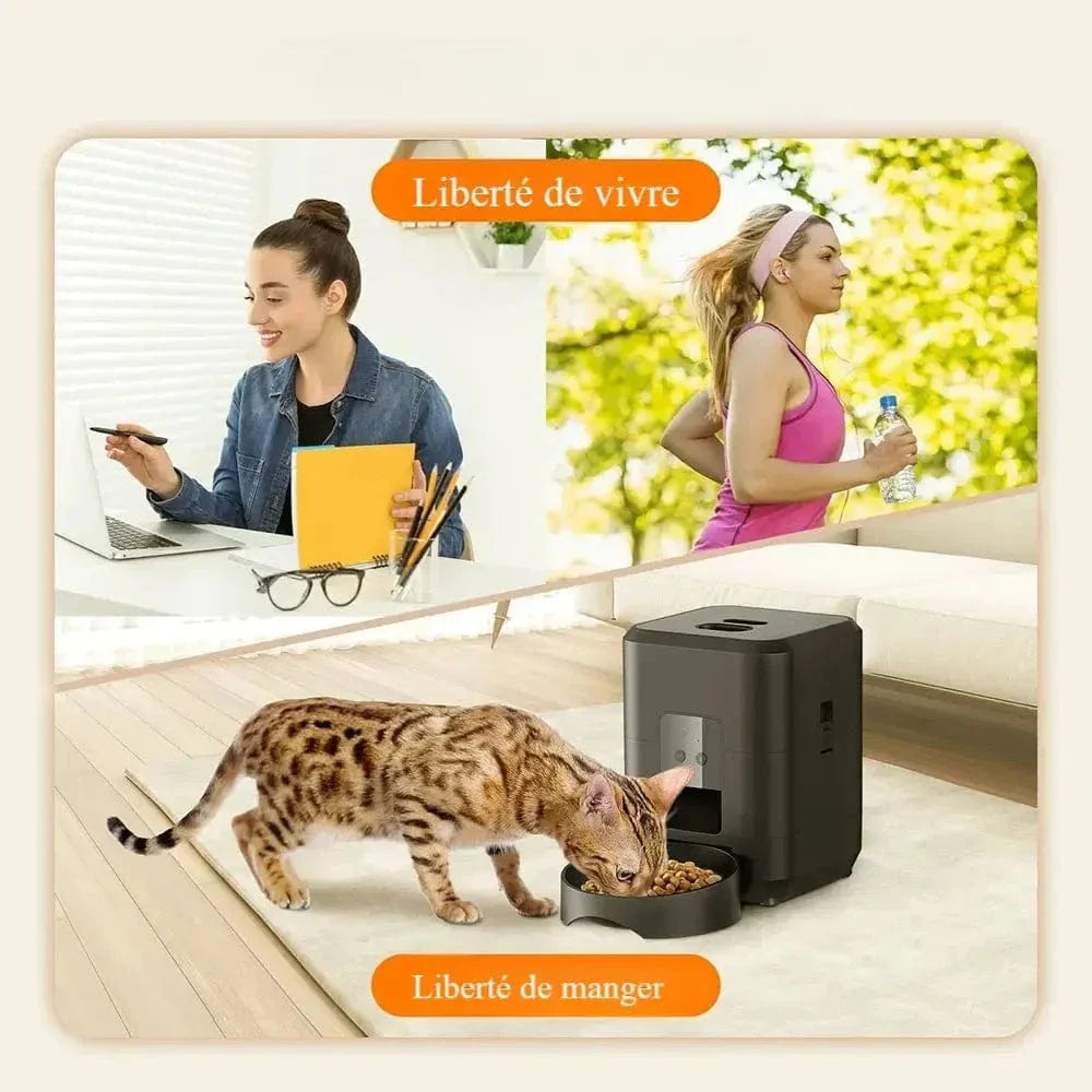 Distributeur programmable de croquettes pour chat