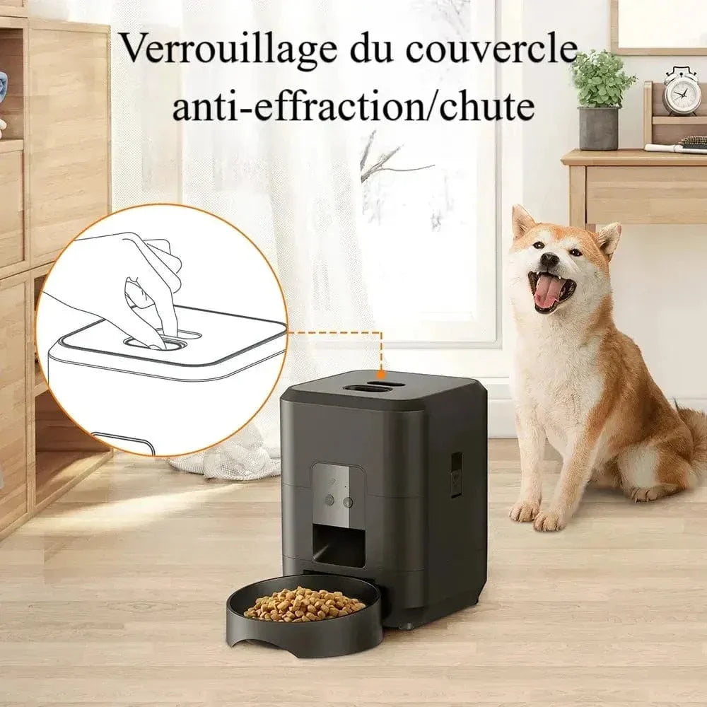 Distributeur programmable de croquettes pour chat