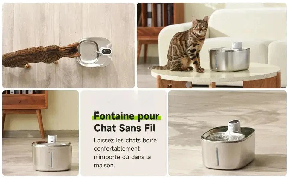 Fontaine à eau chat 4L - Pratique et hygiénique