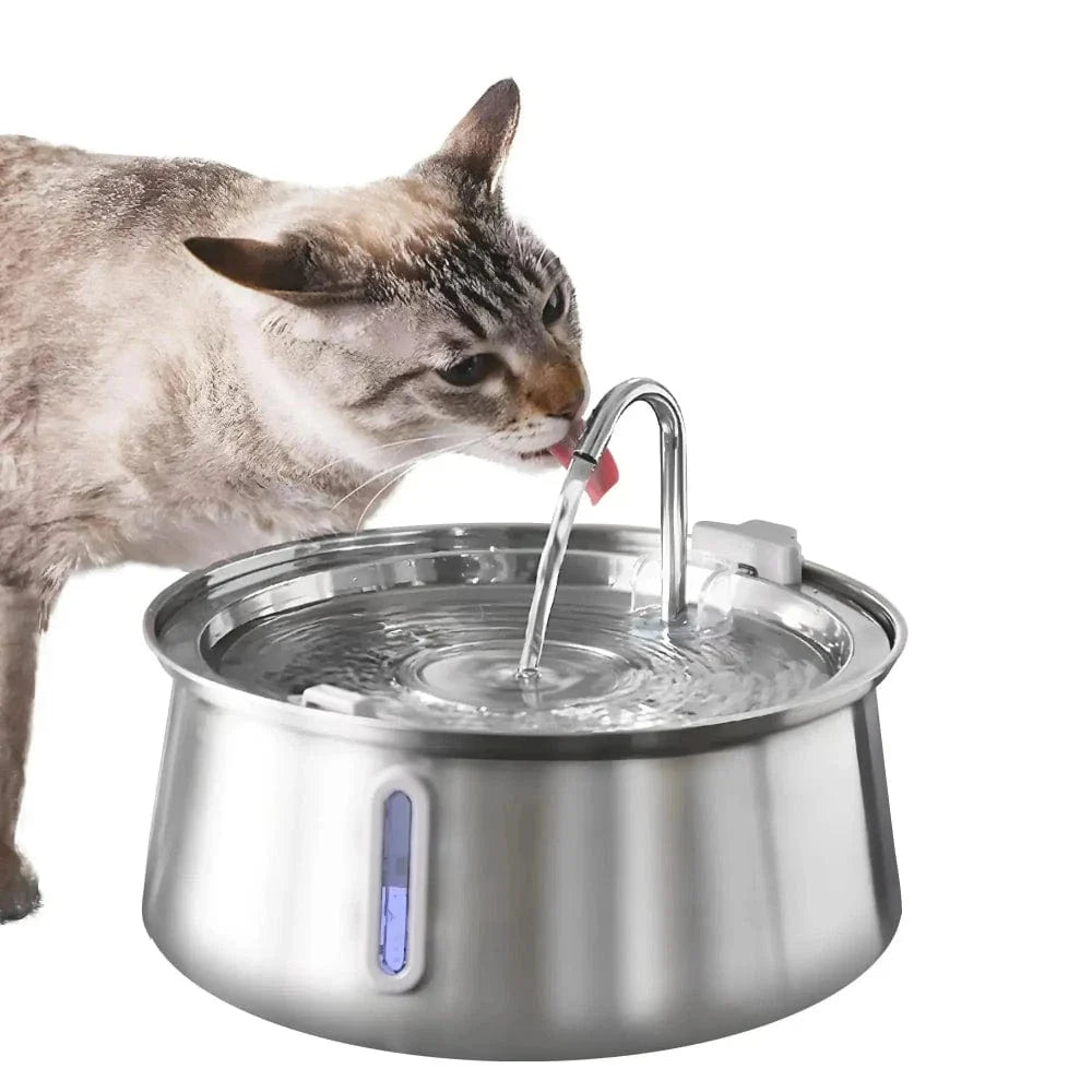 Fontaine à eau chat inox - Pratique et durable