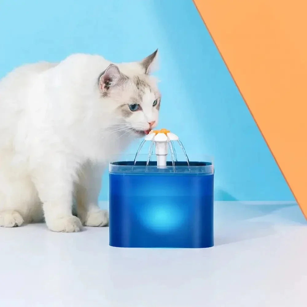 Fontaine à eau chat led - 2L, pratique et écologique