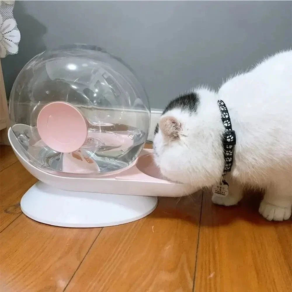 Fontaine à eau pour chat escargot - Encourage l'hydratation