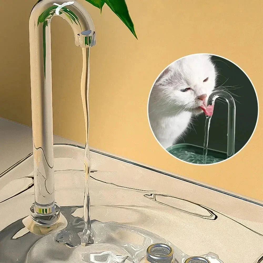 Fontaine à eau transparente pour chat - Design pratique et pur