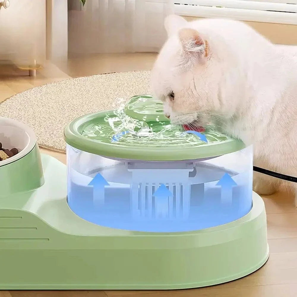 Fontaine à eau et croquette chat - Hydratation et repas faciles