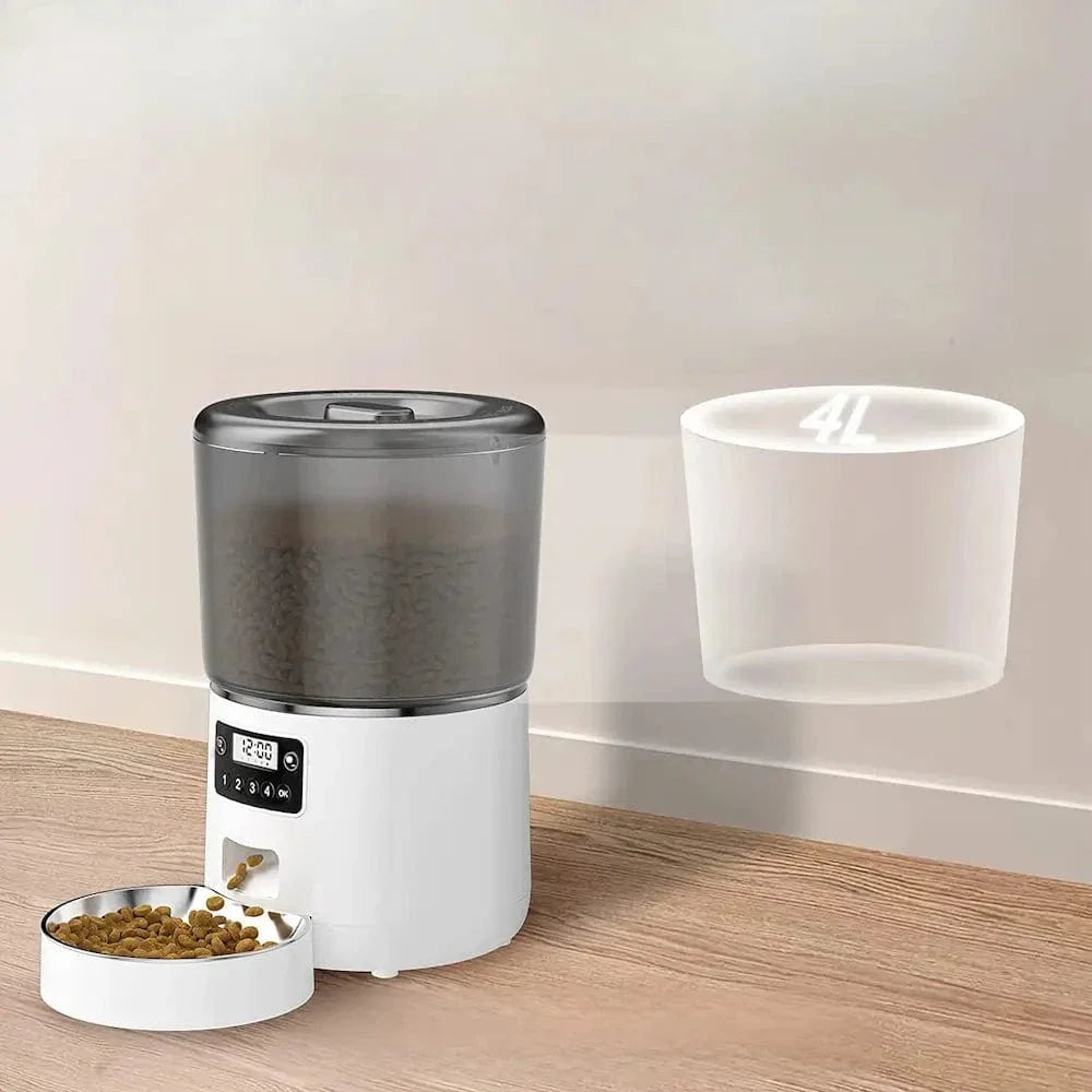Gamelle automatique chat - Repas réguliers