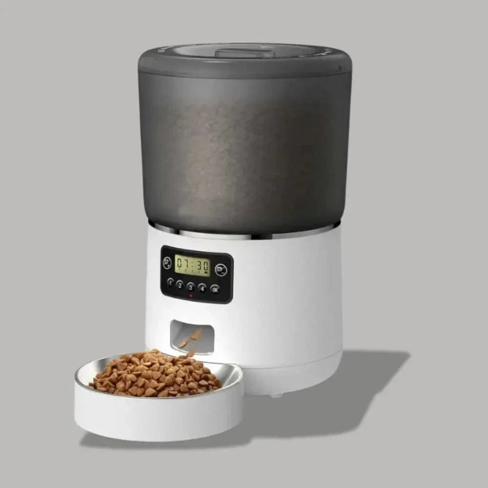Gamelle automatique chat - Repas réguliers