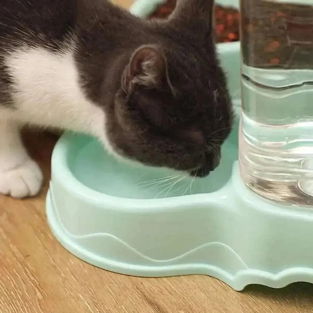 Gamelle pour chat avec distributeur automatique