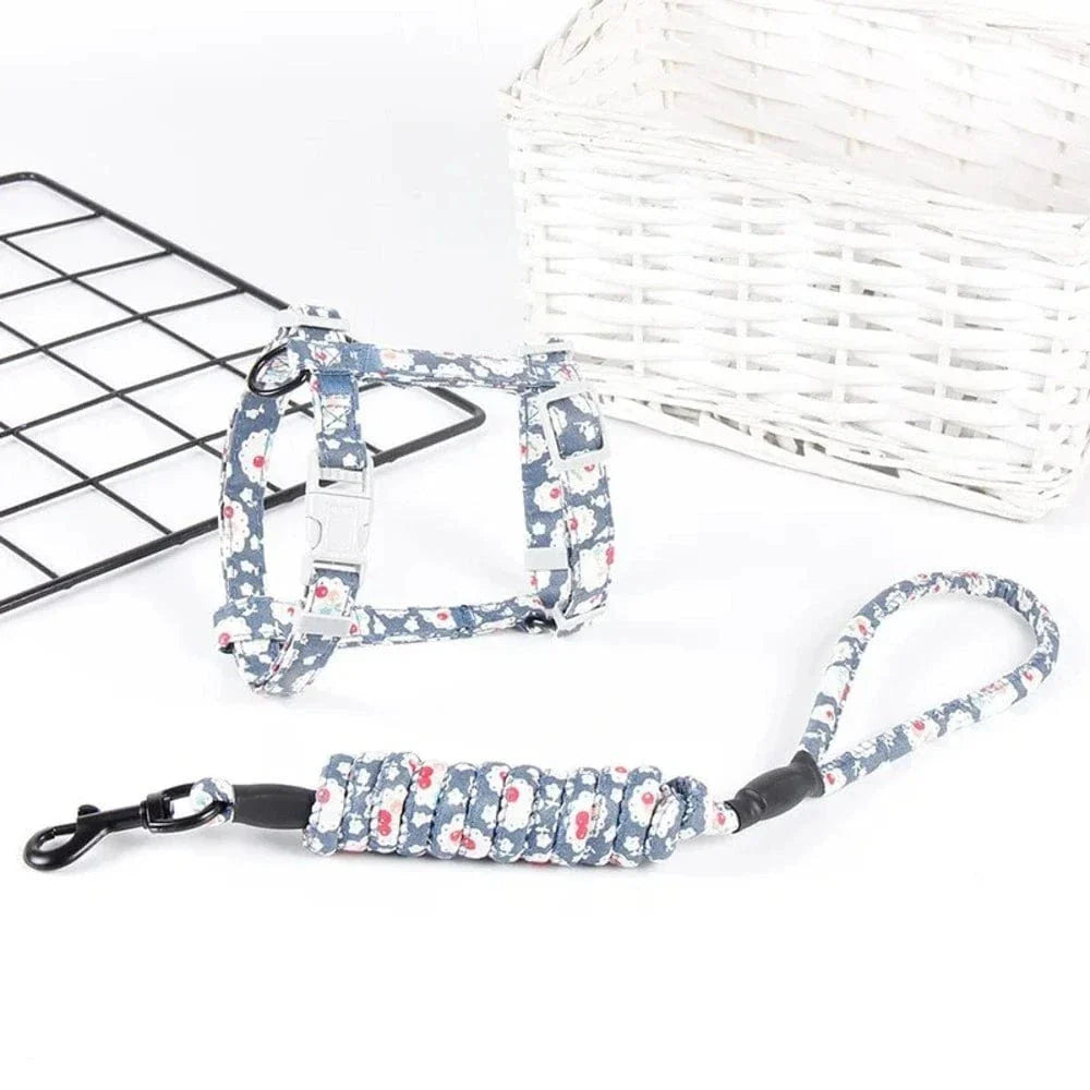 Harnais chat anti-étranglement - Sécurité et confort Griffe d'Amour