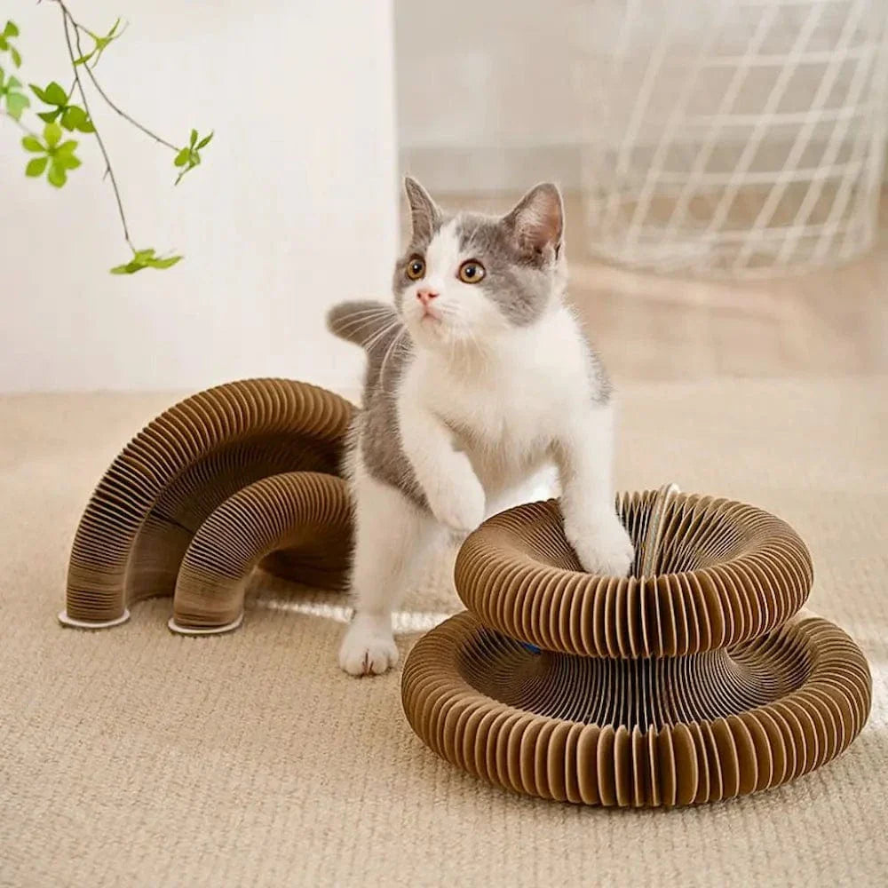 Jouet griffoir chat avec balle - Jeu interactif