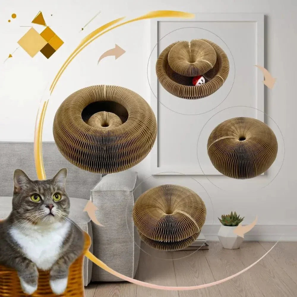 Jouet griffoir chat avec balle - Jeu interactif