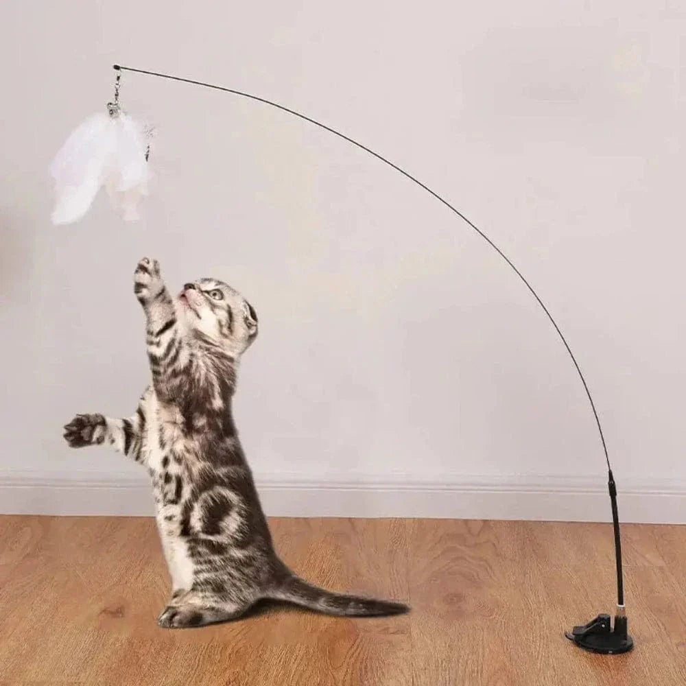 Jouet pour chat plume à ventouse - Amusement garanti