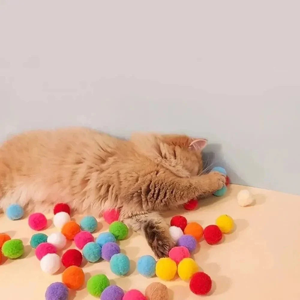 Lanceur de balle pour chat - Jeu interactif et amusant
