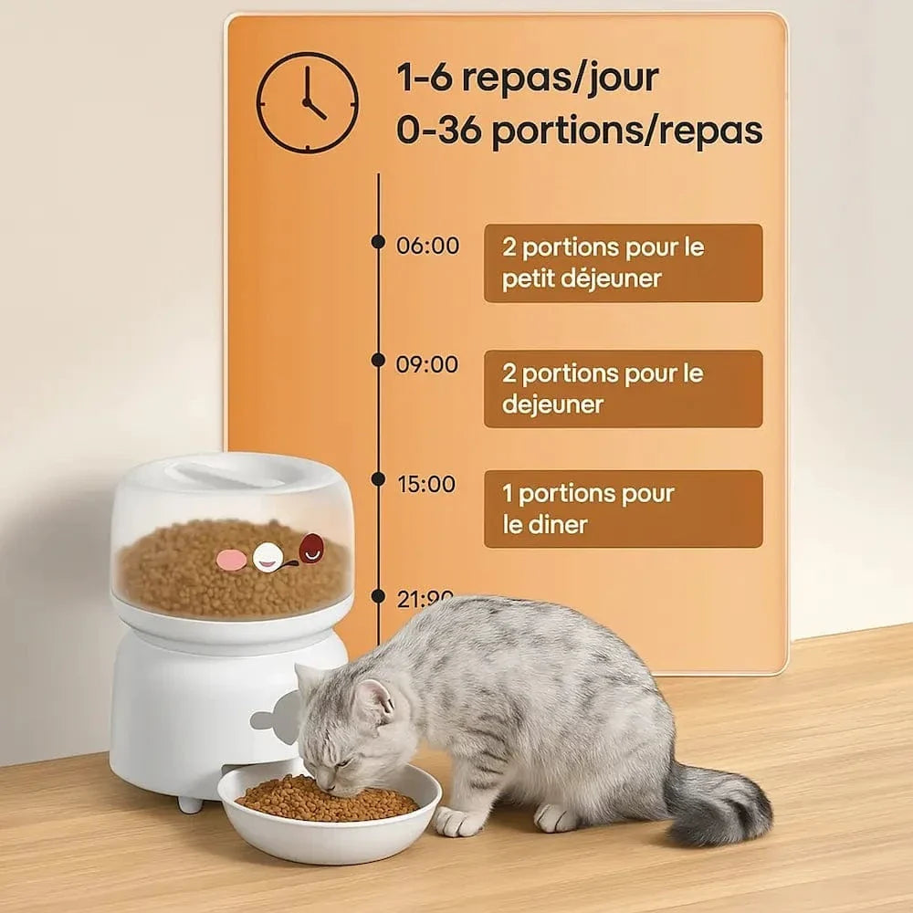 Mangeoire automatique pour chat - Gestion par app mobile