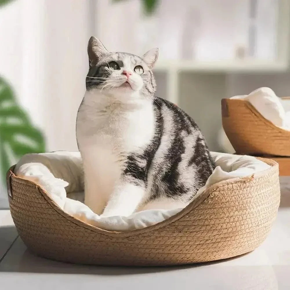 Panier chat bambou naturel - Confort et élégance