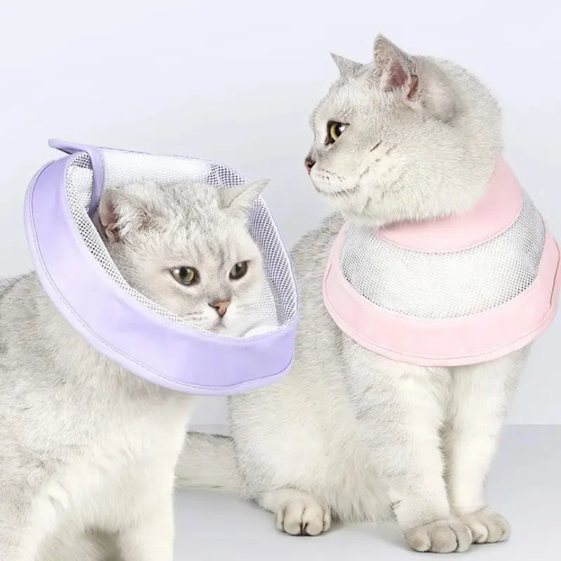 Collerette anti-rayures chat - Confort & hygiène