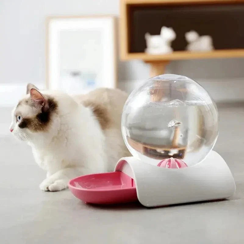Distributeur eau chat 2,8L - Zéro filtre, zéro contrainte