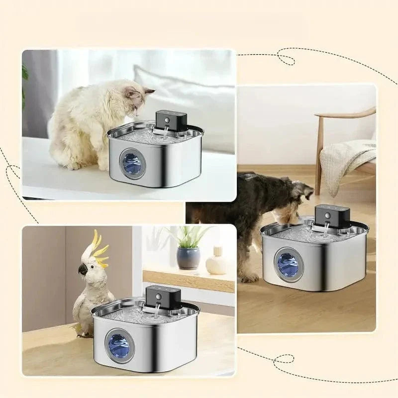 Fontaine à eau chat inox sans fil - Zéro câble, zéro risque
