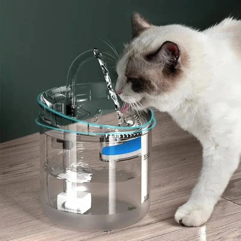 Fontaine chat 2L design avec capteur - Hydratation intelligente