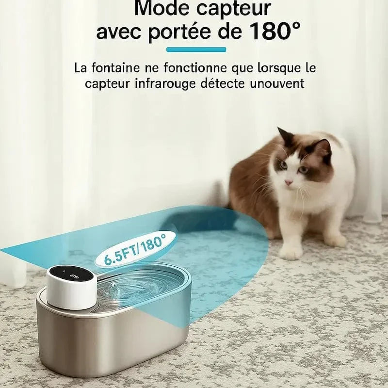 Fontaine chat sans fil à pile - Hydratation libre et durable