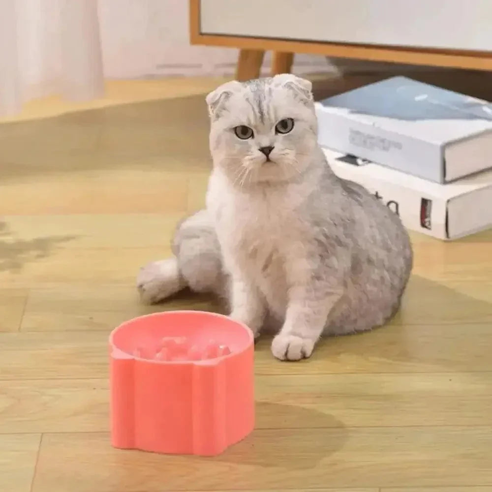Gamelle anti-glouton surélevée - Stop vomissements chat
