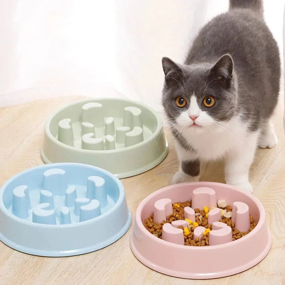 Gamelle labyrinthe pour chat - Anti-glouton efficace
