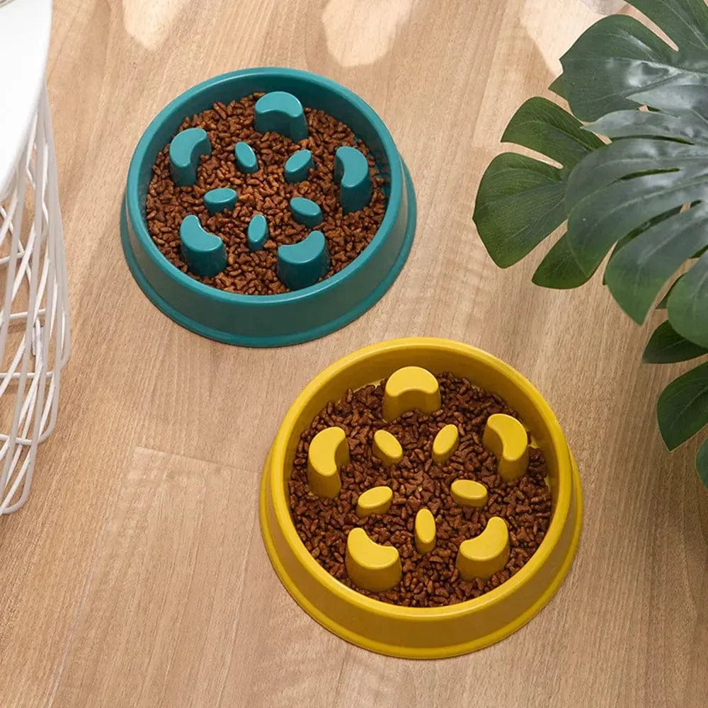 Gamelle labyrinthe pour chat - Anti-glouton efficace