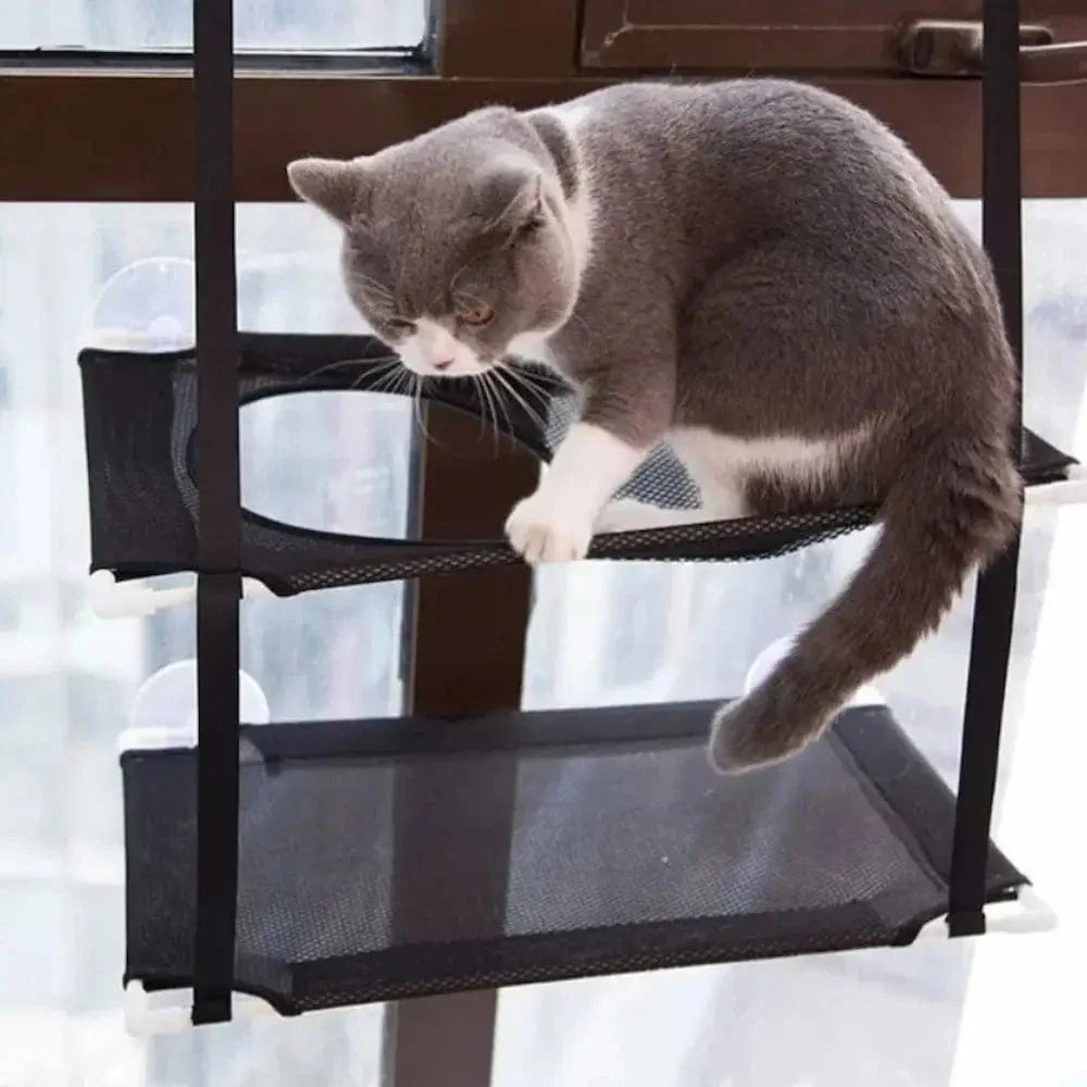 Hamac double pour chat - Repos en hauteur, 2 niveaux spacieux