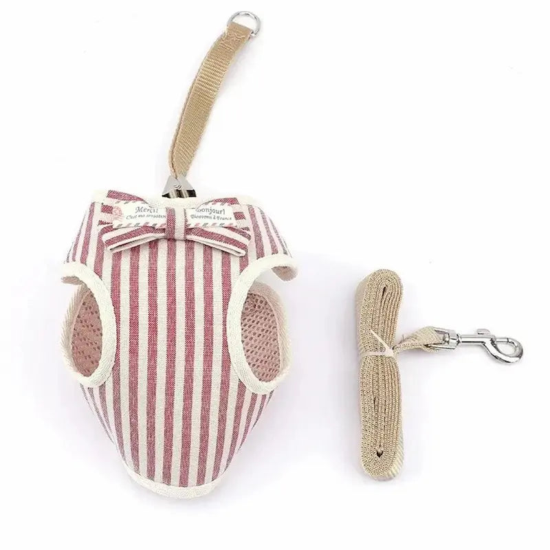 Harnais chat nœud papillon